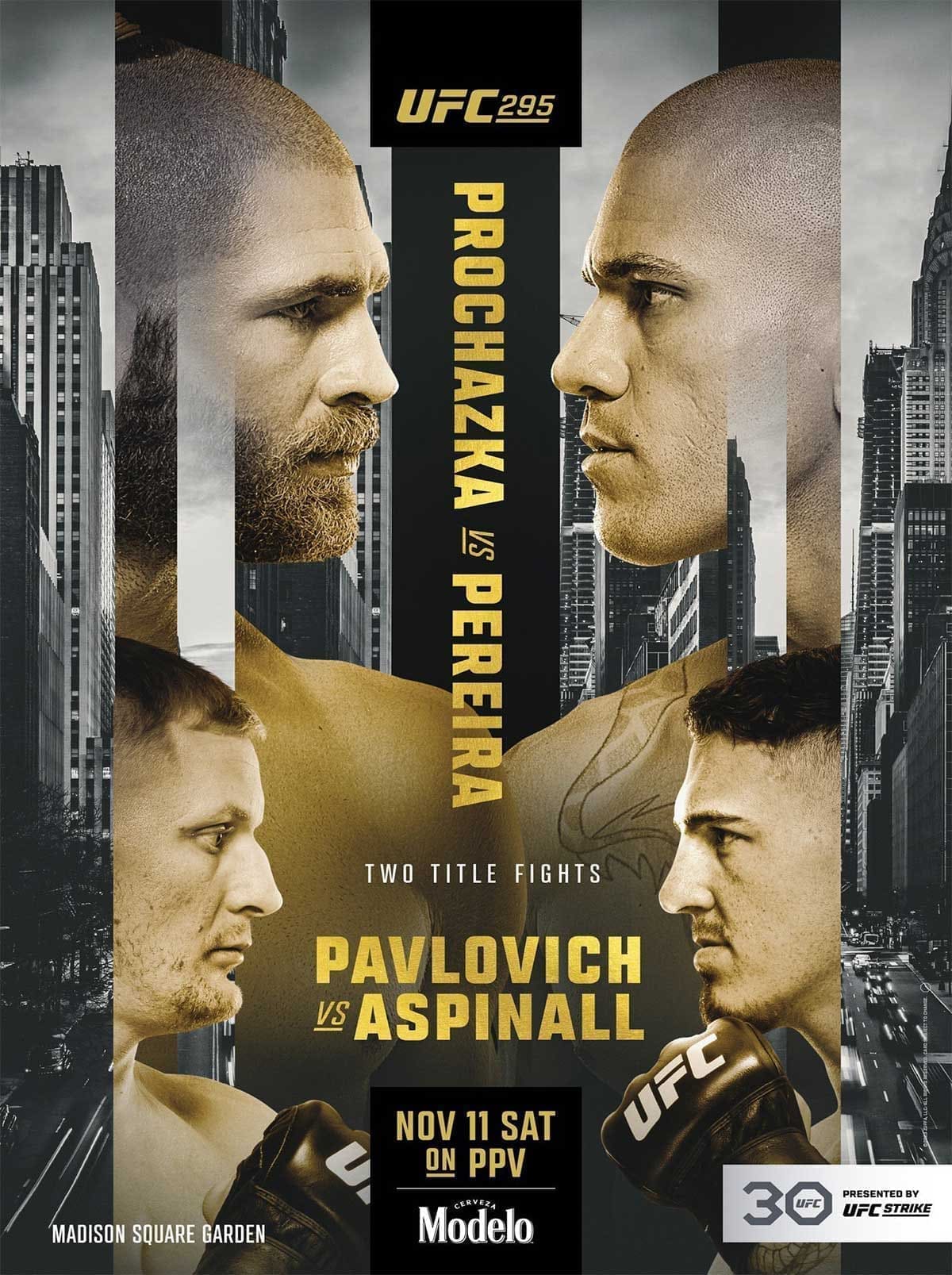 UFC 295: Прохазка - Перейра дата проведения, кард, участники и результаты