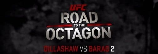 UFC on FOX 16: Дорога в октагон