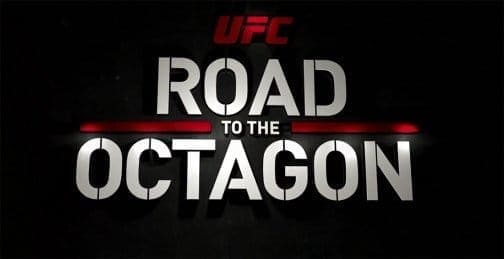 UFC on FOX 23: Дорога в октагон