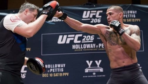 UFC 206: открытая тренировка