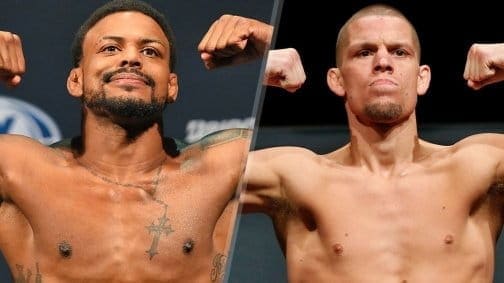 Нейт Диас против Майкла Джонсона на UFC on FOX 17 в Орландо