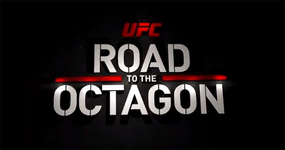 UFC on FOX 20: Дорога в октагон