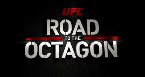 UFC on FOX 22: Дорога в октагон