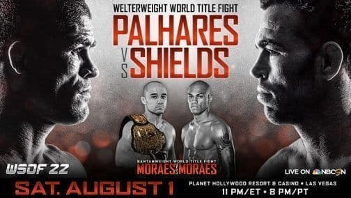 WSOF 22: видео и результаты