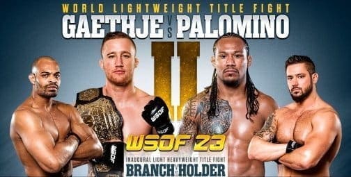 WSOF 23: видео