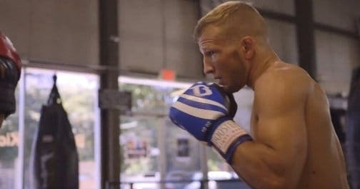 UFC on FOX 16