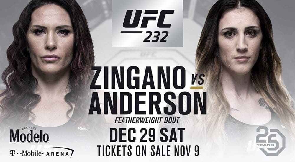 Кэт Зингано против Меган Андерсон на UFC 232 в Лас-Вегасе