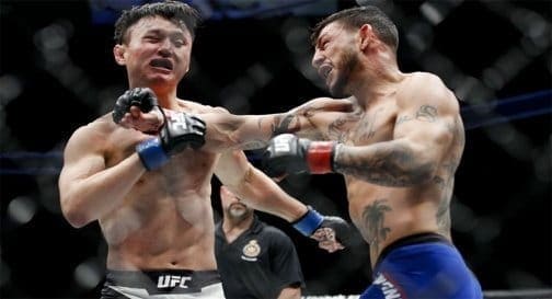 Бонусы турнира UFC 206