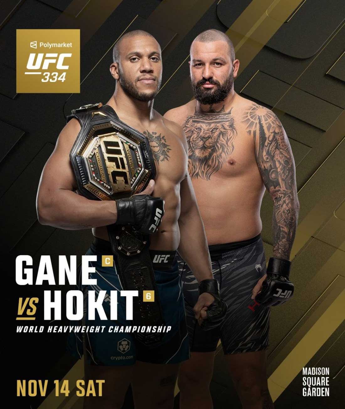 UFC 334: Ган – Хокит, дата проведения, кард, участники и результаты
