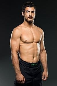 Крон Грейси / Kron Gracie