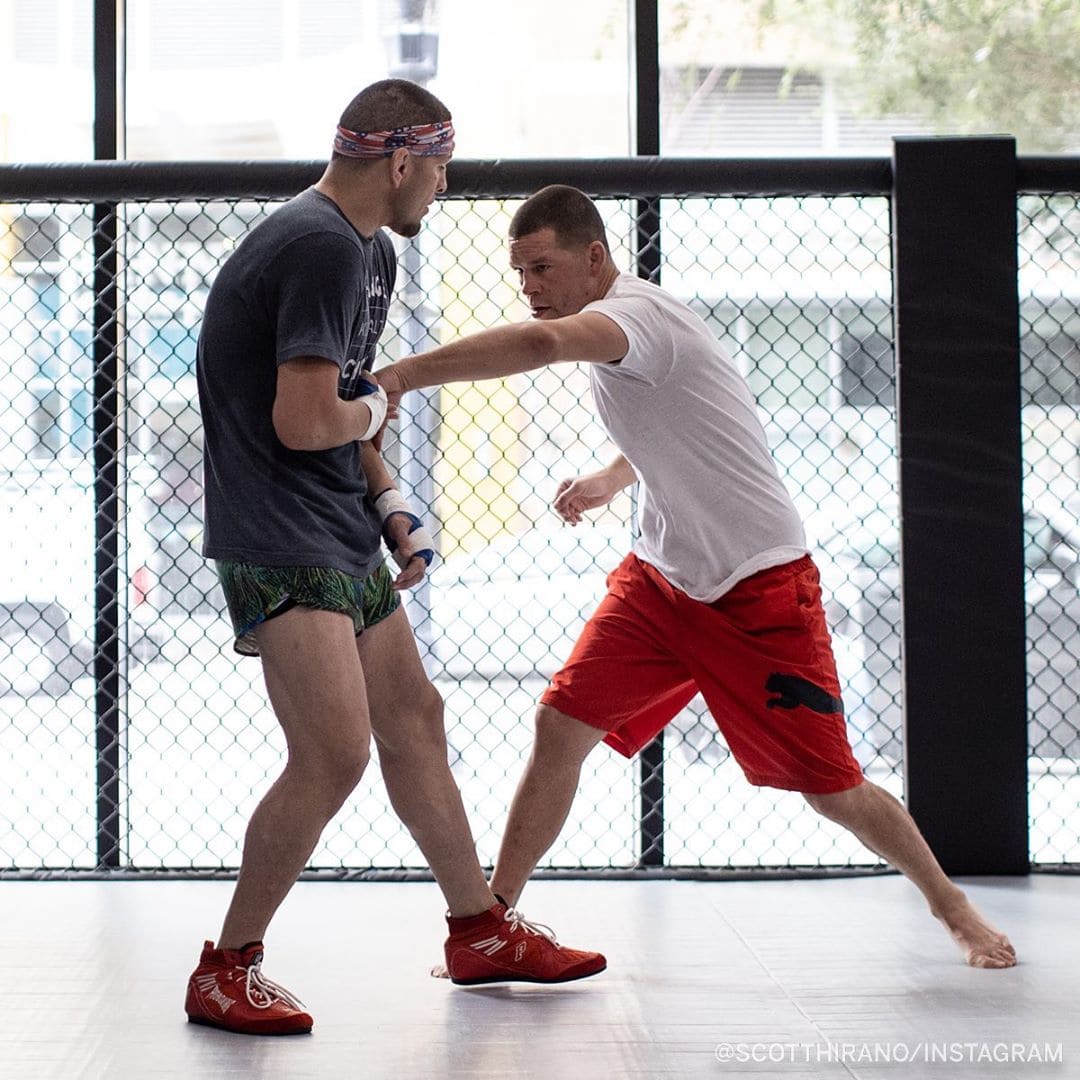 The Diaz brothers are preparing to return to the octagon. Photos