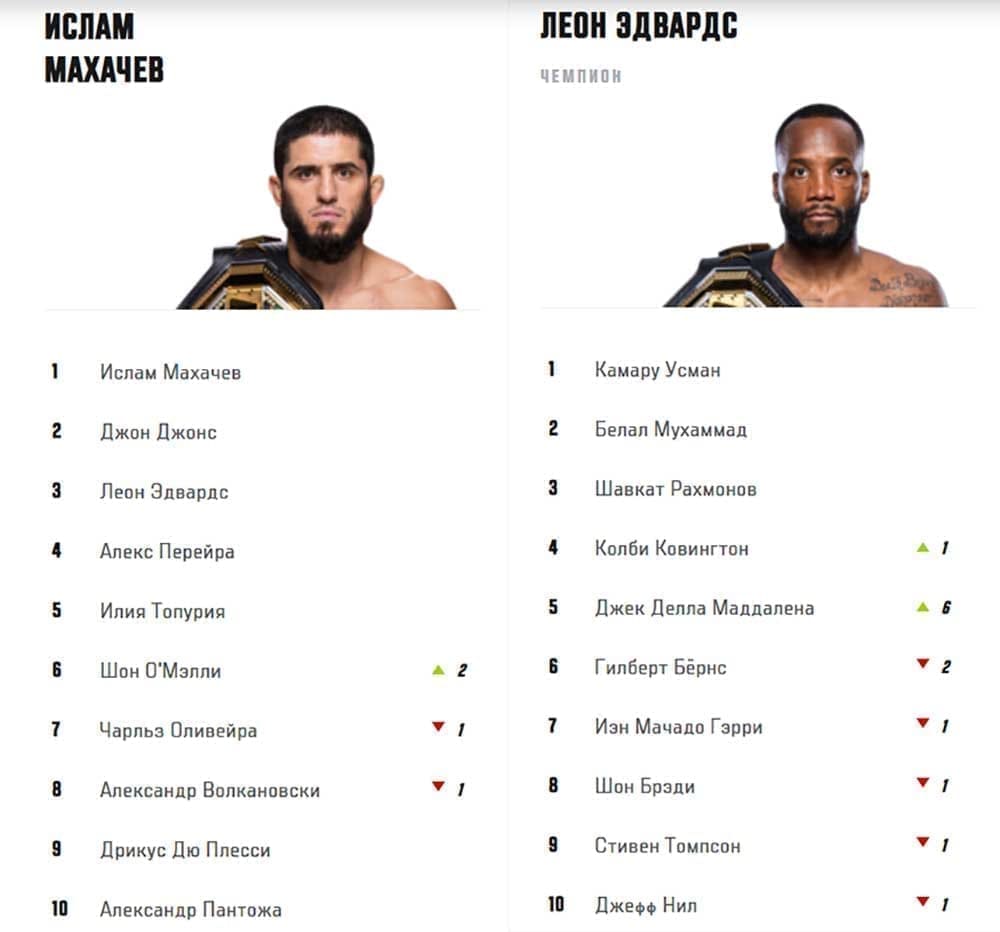 Бойцы среднего веса в ufc. Бойцы среднего веса в ufc