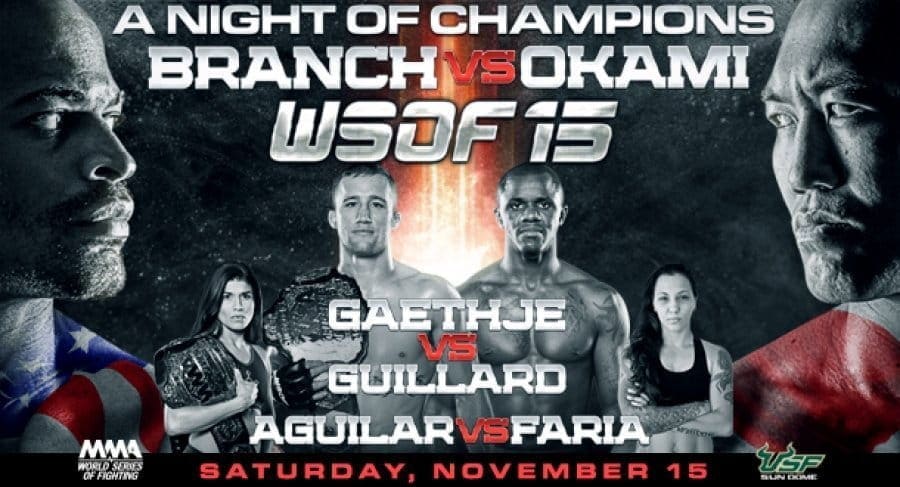 WSOF 15: прямая трансляция