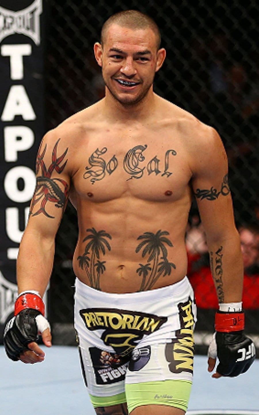 Каб Свонсон (Cub Swanson)