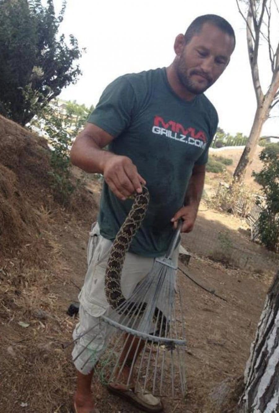 Дэн Хендерсон (Dan Henderson)