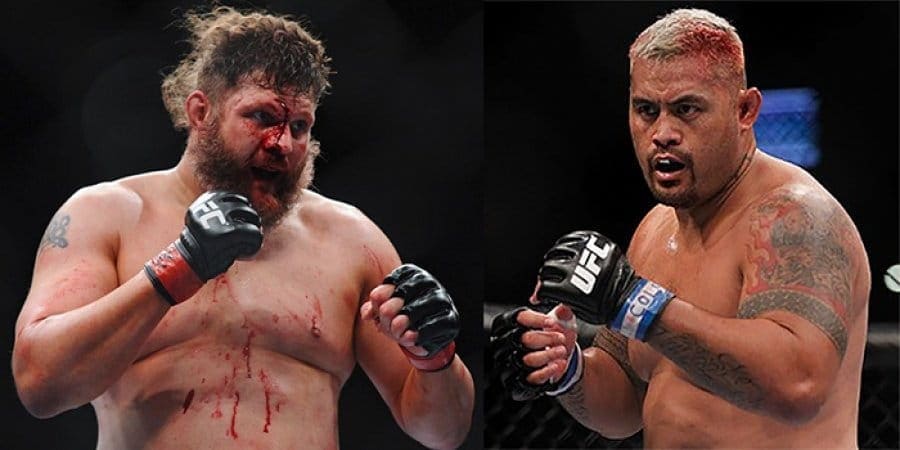 Марк Хант против Роя Нельсона (Mark Hunt vs. Roy Nelson)