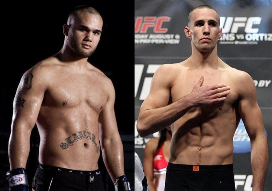 Робби Лоулер против Рори МакДональда (Robbie Lawler vs. Rory MacDonald)