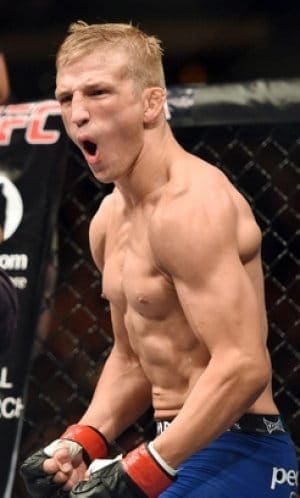 Бонусы турнира UFC 177