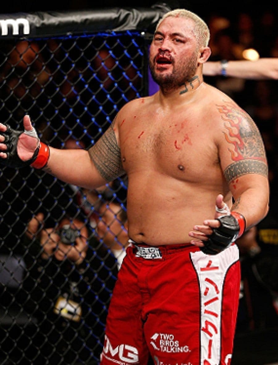 Марк Хант (Mark Hunt)