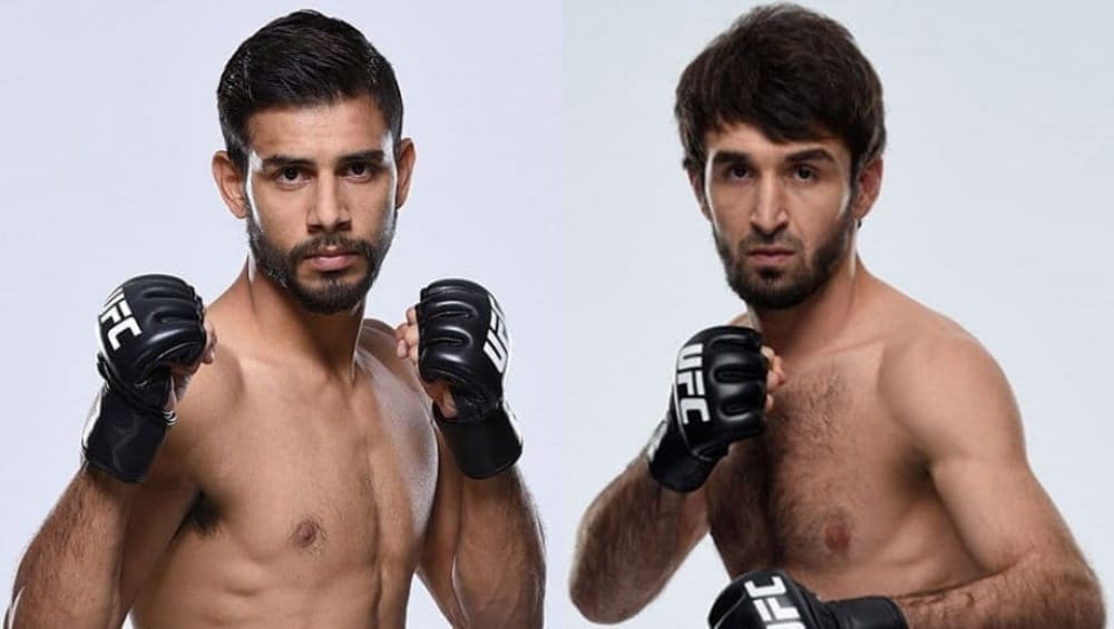 Слух: Бой Забита Магомедшарипова и Яира Родригеса состоится на UFC 254