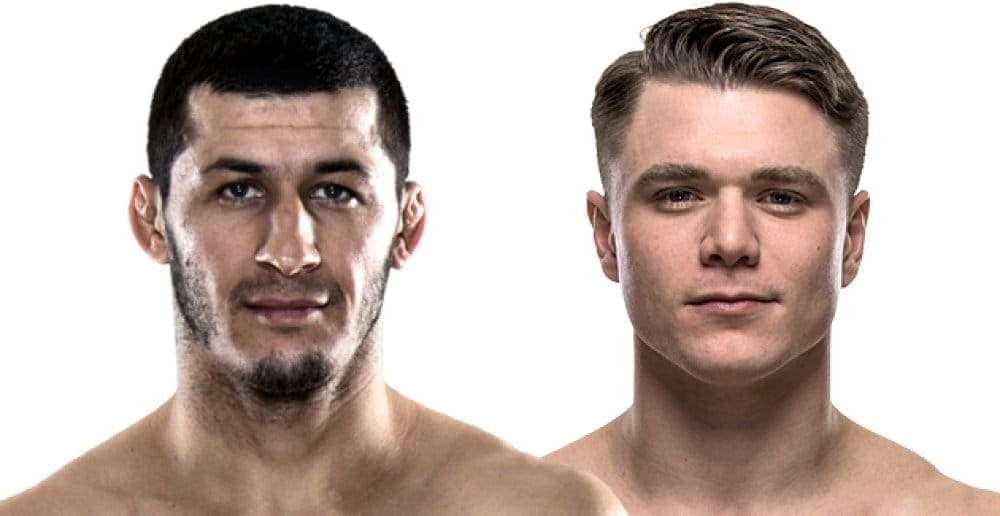 Рашид Магомедов против Криса Уэйда на UFC Fight Night 87 в Роттердаме