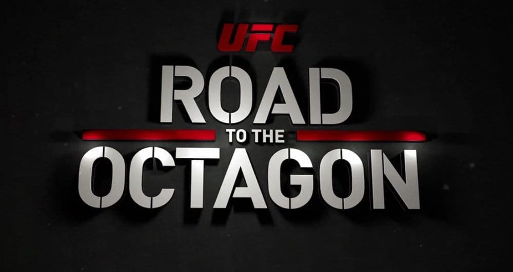 UFC on FOX 24: Дорога в октагон