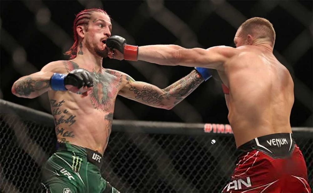 Шон О'Мэлли дал оценку удару Петра Яна