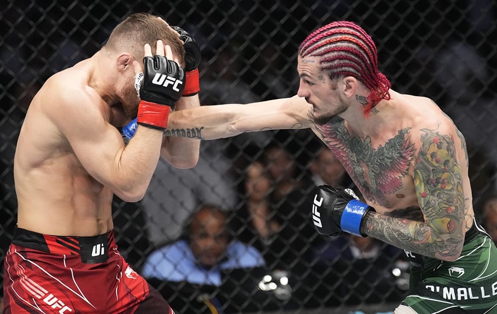 Шон О'Мэлли объявил себя лучшим боксером в UFC