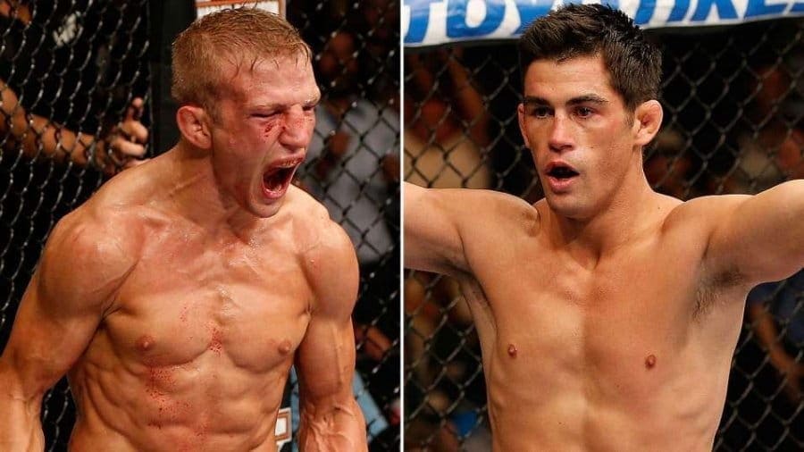 T.J. Dillashaw vs Dominick Cruz