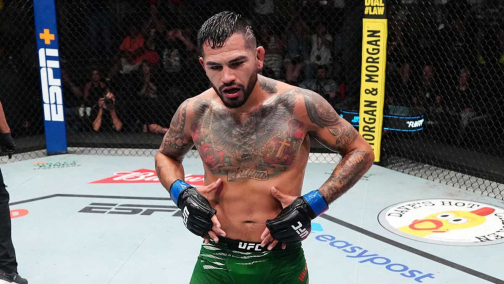 Обновлён рейтинг UFC: Эрнандес и Лусиндо в плюсе, Долидзе выбыл из топ-10