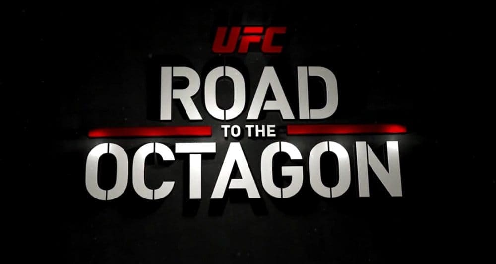 UFC on FOX 22: Дорога в октагон