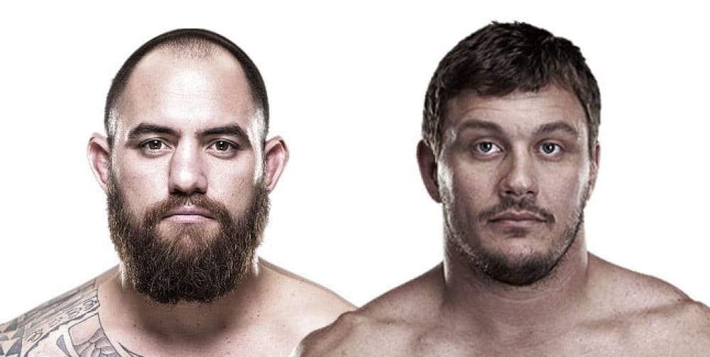 Браун против Митриона и Боеч против Хермана на UFC Fight Night 81 в Бостоне
