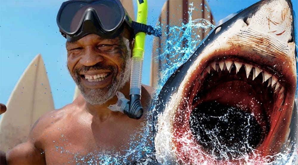 Соперником Майка Тайсона станет большая белая акула