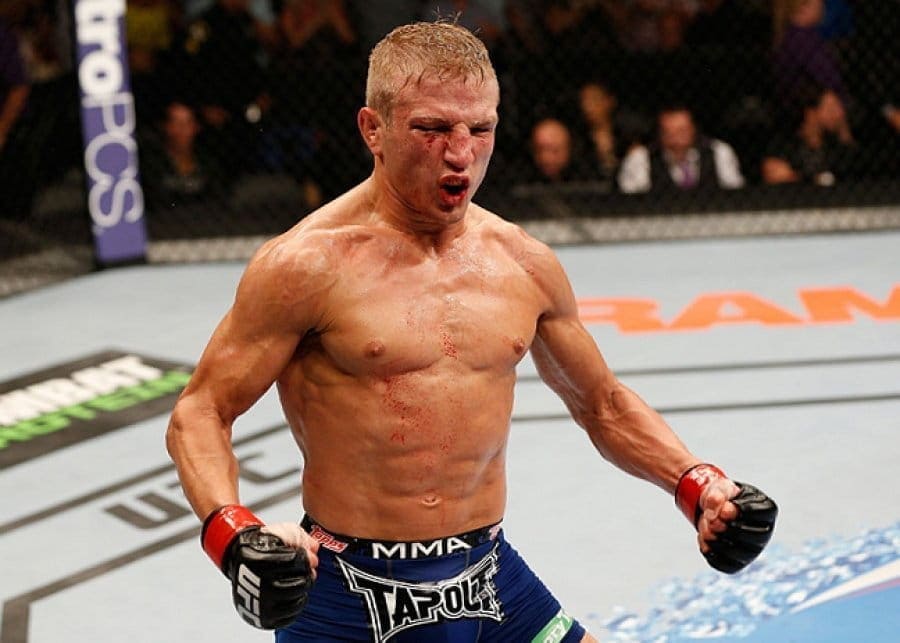 Ти Джей Диллашоу / T.J. Dillashaw