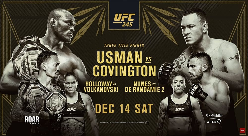UFC 245: прямая трансляция