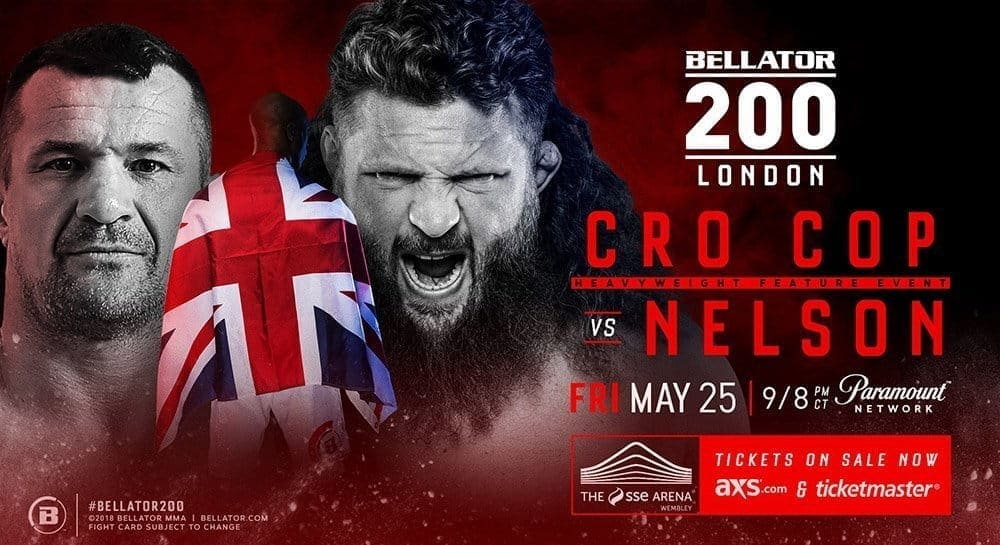 Мирко Филипович против Роя Нельсона на Bellator 200 в Лондоне