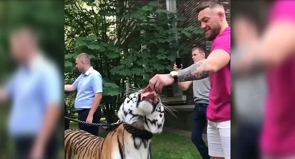 Конор МакГрегор отказался бороться с российским тигром