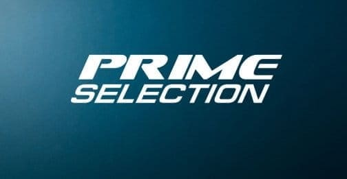 В Краснодаре стартует новый бойцовский проект «PRIME Selection»