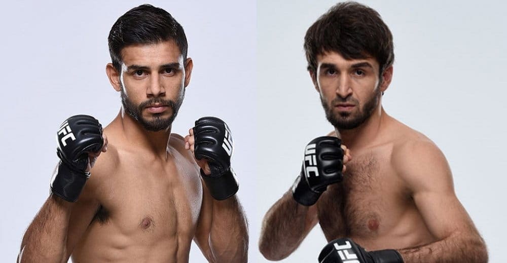 Слух: Забит Магомедшарипов и Яир Родригес встретятся на UFC 228