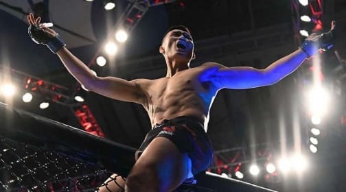 Бонусы турнира UFC Fight Night 154