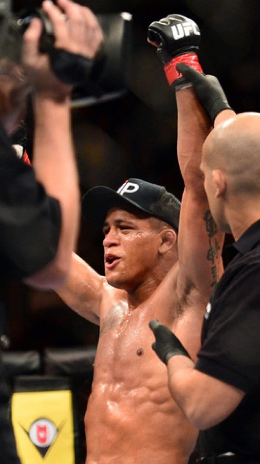 Бонусы турнира UFC 179
