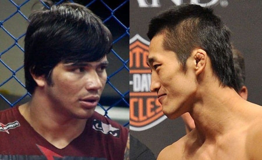 Эрик Сильва против Дон Юн Кима (Erick Silva vs. Dong Hyun Kim)