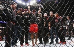 UFC 188: восторг и агония