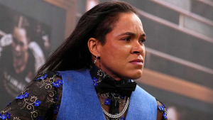 Аманда Нунес: «Я верну себе чемпионский пояс»