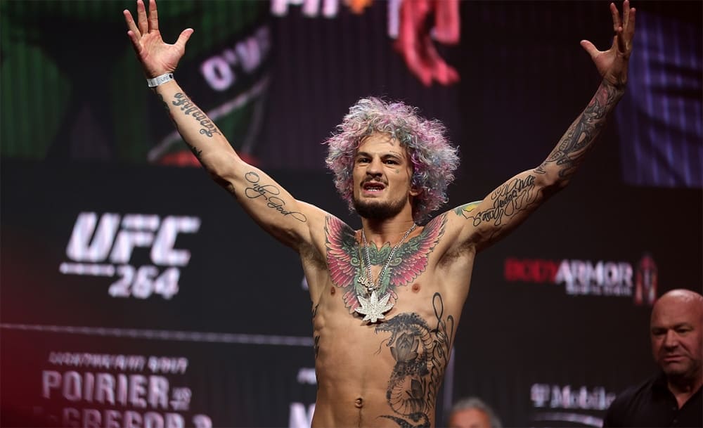 Шон О'Мэлли: «Только казуалы думают, что Петр Ян сильнее»