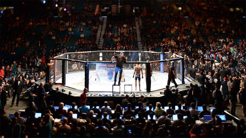 Фанаты UFC могут вернуться на трибуны уже в следующем месяце