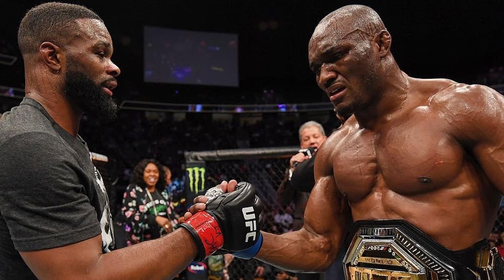 UFC 235: взлеты и падения