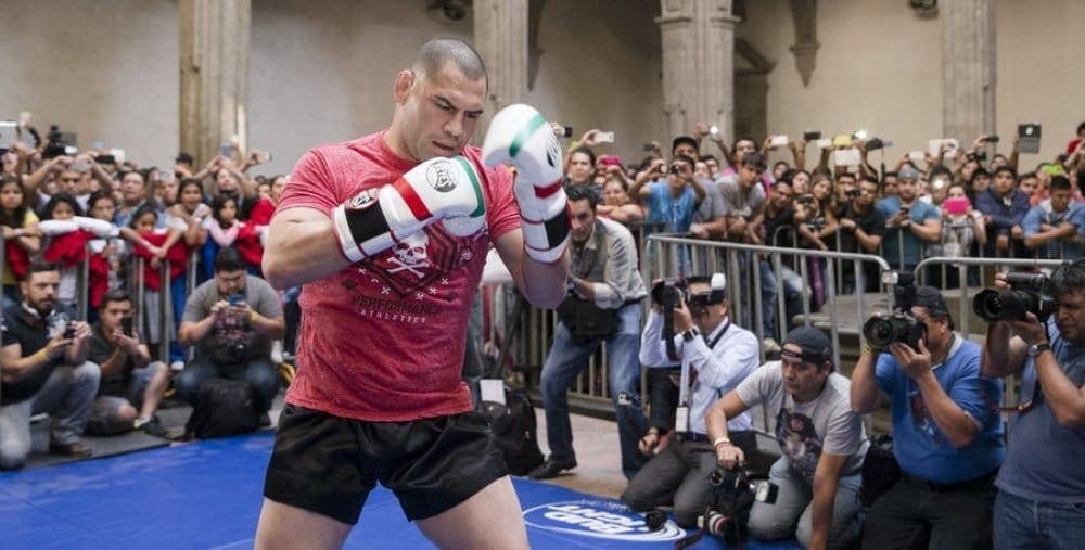 UFC 188: открытая тренировка