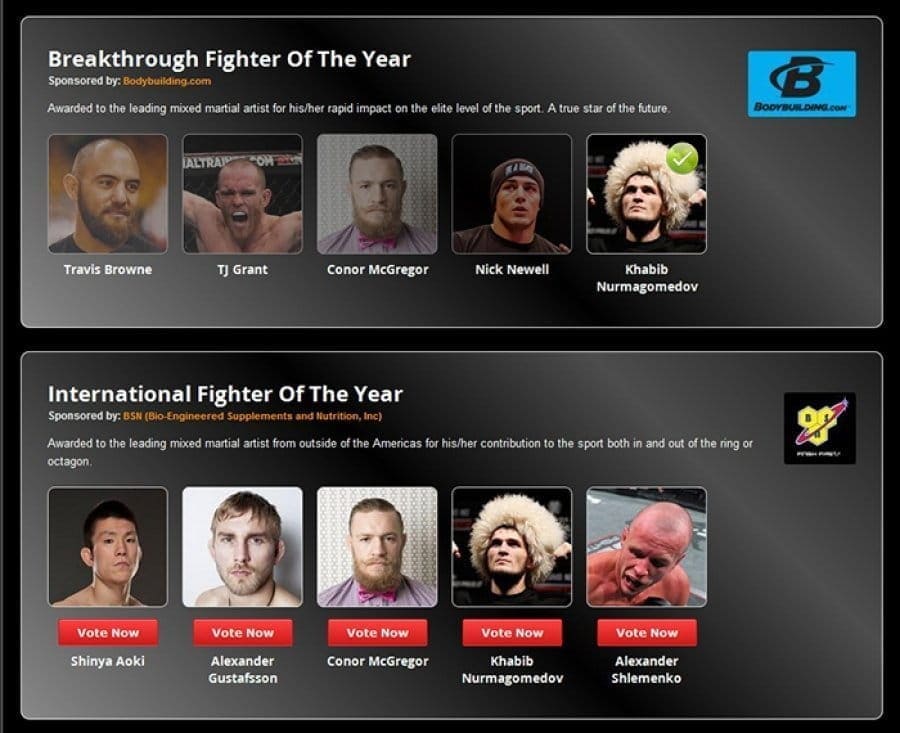 World MMA Awards 2013