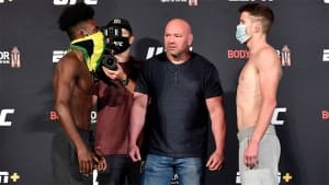 Поединок Стерлинга и Сэндхагена на UFC 250 объявлен претендентским